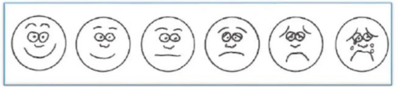 Figure 5: Wong and Baker Faces Pain Scale  (102) 