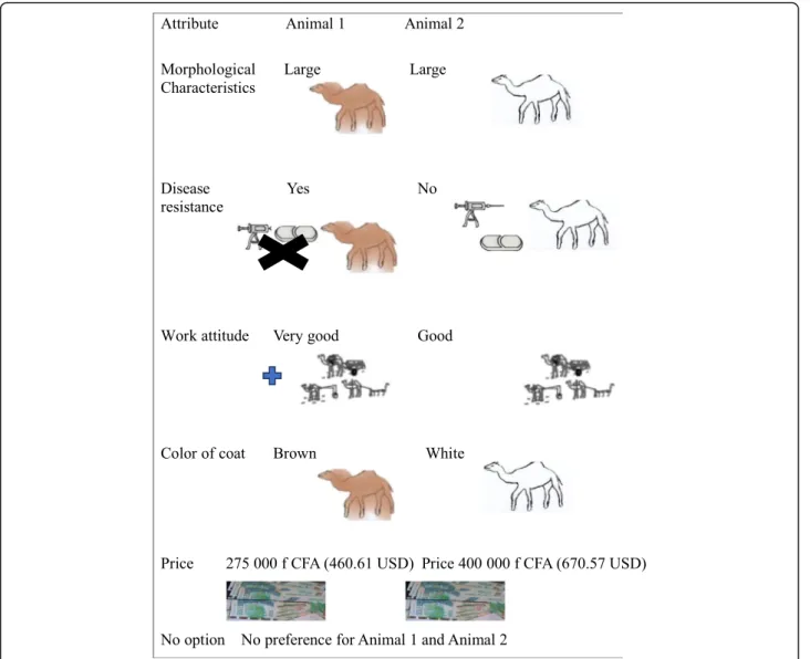 Fig. 2 Example of peer choice scenario