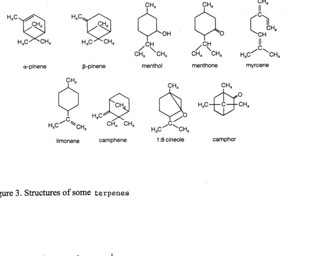 Figure 3. Structures of some fcerpenes