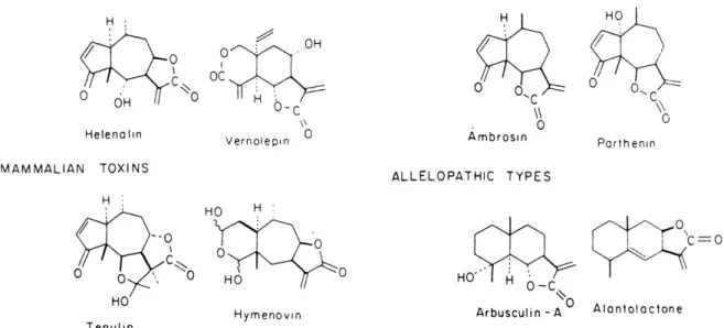 Figure 6. A few of the many sesquiterpene lactones known to exhibit various types of biological activities (copy from Mabry and Gill, 1979).