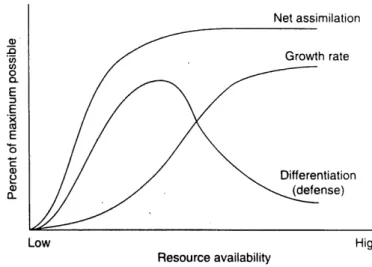 Figure 9. The relationships among resource availability, assimilation, growth and differentiation (copy from Herms and Mattson, 1992).