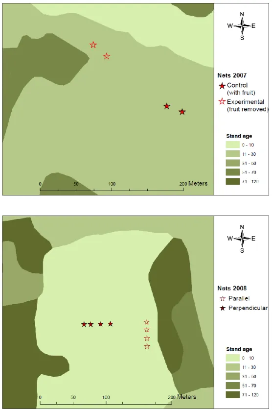 Figure  2.  Example  of  paired  plot  mist  net  locations  of  2007  fruit  removal  experimental  design  (above)
