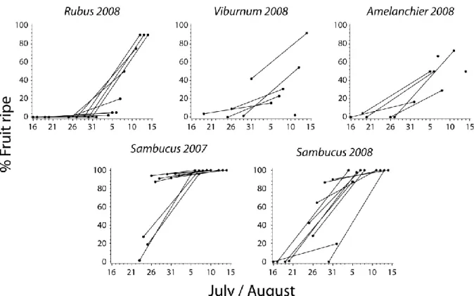Figure 6. Phenology of fruit ripening at Forêt Montmorency, 2007-2008. Data from same  plots (visits 1 and 2) are joined by lines