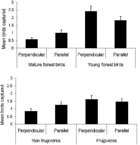 Figure  8.  Mean  number  of  mature  and  young  forest  birds  (top)  or  frugivores  and  non-  frugivores  captured (bottom) per plot, with  mist  nets  laid  out  parallel  or  perpendicular to  the nearest mature (&gt; 40 y old) forest edge