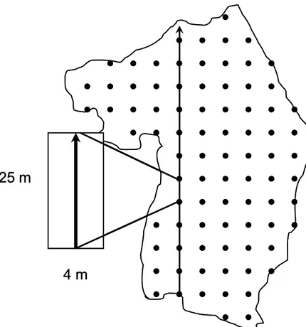 Figure  10.  Schematic  representation  of  the  continuous  vegetation  sampling  transects