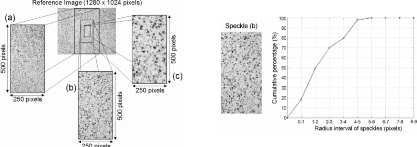 Fig. 1. Sprayed speckle pattern with three different zooms, yielding the three new reference speckle patterns 