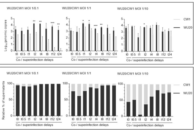 Figure 2. Genomic quantification on 5′ genome ends establishing raw genomic copy numbers (top) and relative propor- propor-tions of mean genomic copies (below) of co- or superinfecting murine noroviruses MNV-1 WU20 and CW1 in viral  proge-nies 24 h post co