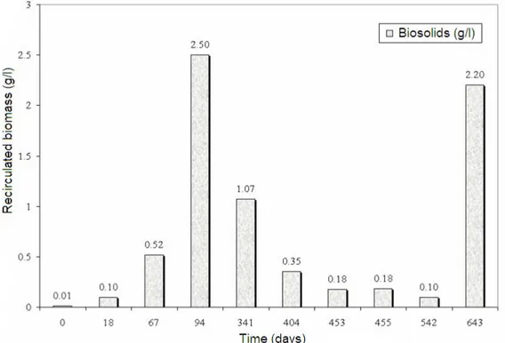 Figure 5: Recirculated/driven biomass (dry material) measured at different time of  the process 