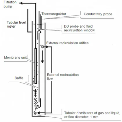 Figure 1:  Reactor set-up and dimensions 