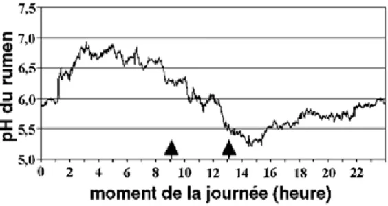 Figure 3. Mesures du pH ruminal prises en continu sur 24 heures chez une vache Holstein