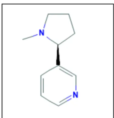 Figure 8. Structure de la Nicotine (12) 