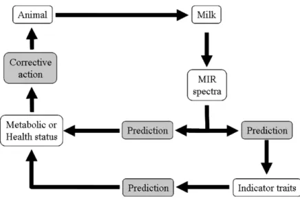 Figure 2. Pathway for direct and indirect prediction of metabolic or health status traits.