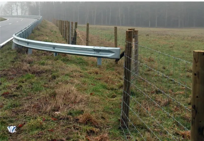 Figure 4 – fence placed along the N88 in Meix-devant-Virton, more than 300 km of this type of fence   were placed to confine the boars and facilitate destruction 
