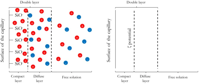 Figure 2.1 - Schematic representation of the double layer found at the contact point between the BGE and the  capillary surface
