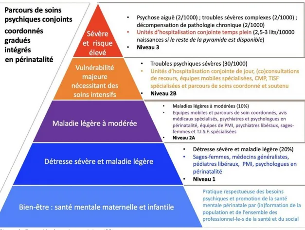 Figure 1: Pyramide des soins conjoints (22) 