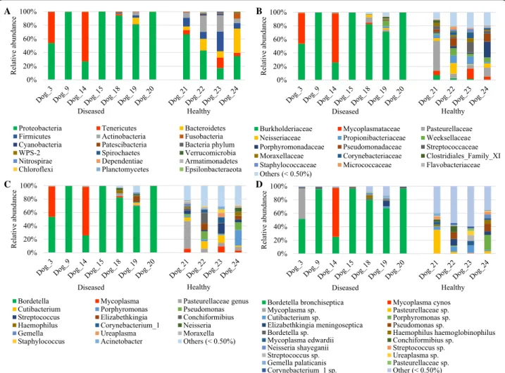 Figure 2  Taxa detected in healthy dogs and dogs affected with B. bronchiseptica. Bar charts showing the relative abundance of all taxa  detected in the bronchoalveolar lavage fluid of 4 healthy dogs and 7 dogs affected with B