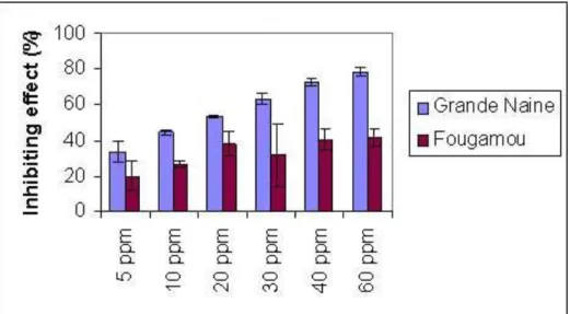 Figure 3 Oxidation of ascorbic acid as measured by the decrease in absorbance at 290  nm in the presence or absence of juglone