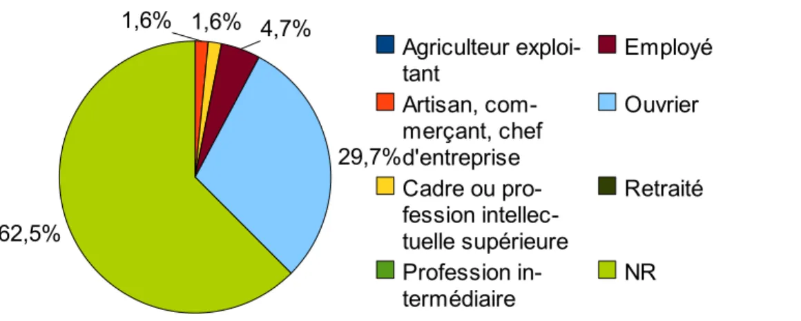 Figure 3 : origine géographique 