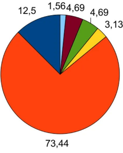 Figure 8 : Analgésie au cours du travail.