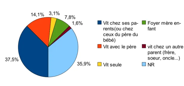 Figure 12 : lieu de vie de la mère après son accouchement.