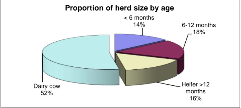 Figure 13. Proportions of the herd by age 