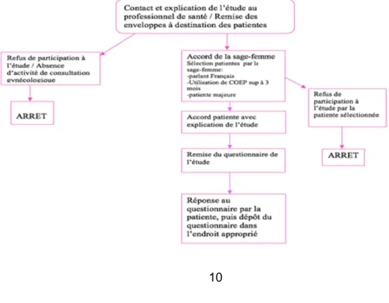 Figure  1:  Organigramme  du  déroulement  de  l'étude     