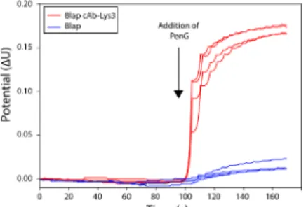 Figure 4: Graphical representation of the conductimetric measurements showing the specific interaction of BlaP-cAb-Lys3 to HEWL.