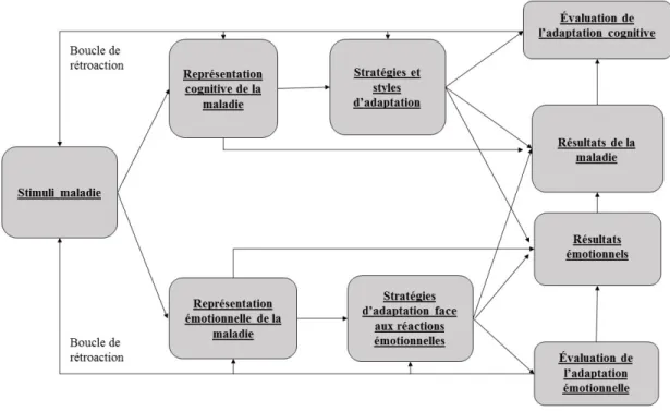 Figure  2.  Représentation  schématique  du  modèle  d’autorégulation  de  Leventhal  et  al