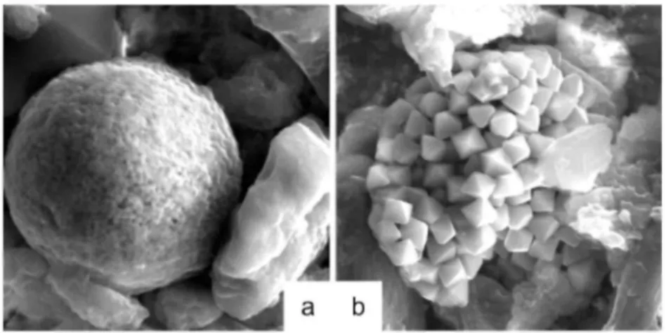 Fig. 10. Micrographs of  framboidal pyrites observed by SEM (a) framboid observed from the aliquot at pH ~8.5  showing a thin electron transparent coating and (b) framboid observed from the most acidic aliquot of the  titration (pH ~1.4) occurring as polyc