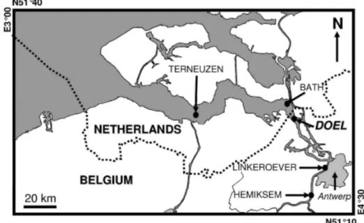 Fig. 1. Map of the Scheldt estuary where the sampling locations are indicated. The sample presented in this  study was collected at Doel