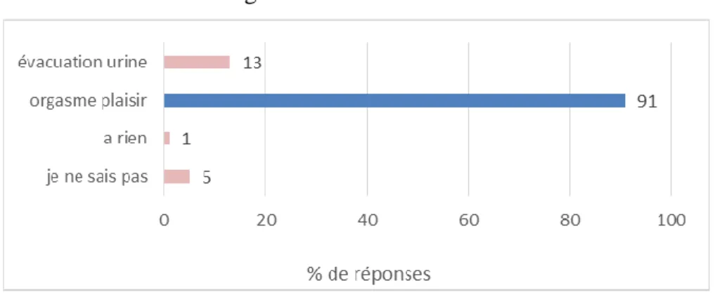 Figure 6 : Rôle du clitoris  