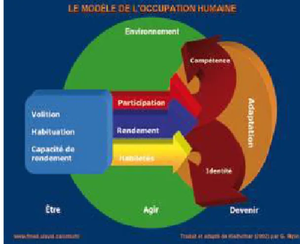 Illustration n°3 : Le Modèle de l'Occupation Humaine