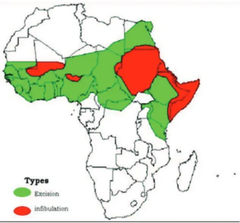 Figure 8 : types de mutilation 