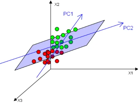 Figure III.3: Three dimensional plot of Figure 2 with the plane described  by the two first principal components (PC1 and PC2)