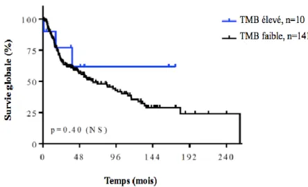 Figure 8. Courbe de SG en fonction du TMB (seuil fixé à 15,5 mutations/Mb). 