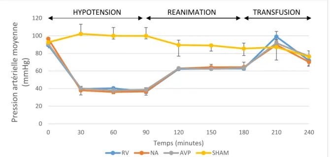 Figure 4. Variation de la Pression artérielle dans le temps. (RV : remplissage vasculaire ; NA : noradrénaline ;  AVP : vasopressine)