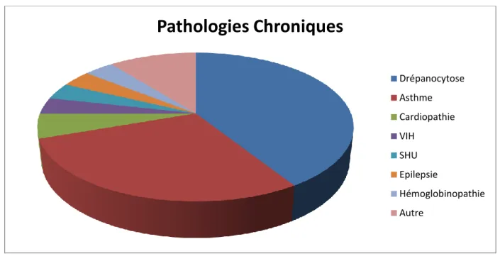 Figure 3 : Types de pathologies chroniques 