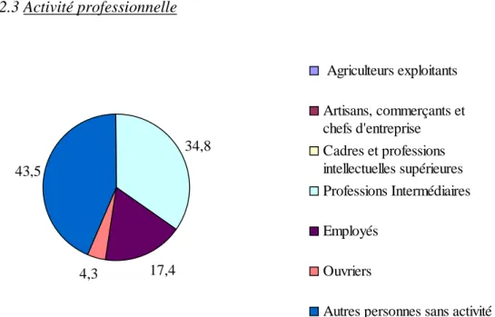 Figure 12 : Répartition (en %) des parturientes présentant une carence en fer selon leur  gestité (n = 46) 