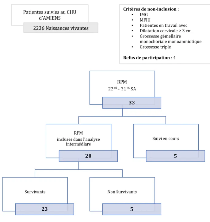 Figure 3 : Diagramme de la population de l’étude. 