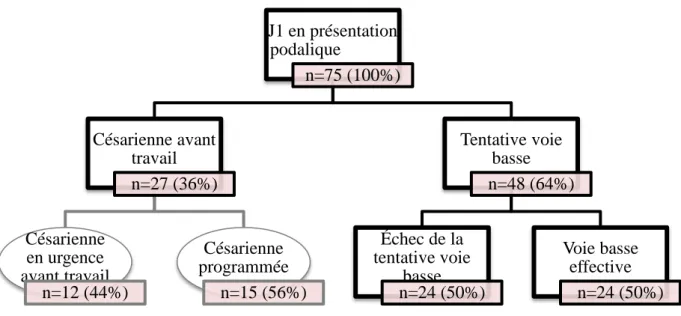 Figure  1 :  Mode  d’accouchement  des  grossesses  gémellaires  lorsque  J1  est  en  présentation  podalique au CHU d’Amiens-Picardie