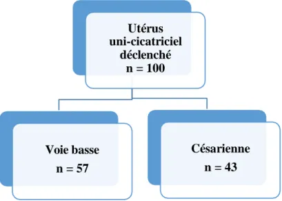 Figure 3 : Organigramme de la répartition des patientes Utérus uni-cicatriciel déclenché n = 100 Voie basse n = 57 Césarienne n = 43 