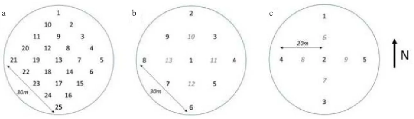 Fig. 9. Spatial sampling design for forest stations for measurement inside one plot for: a – ceptometer, b – digital hemispherical pictures   c – and the litter traps