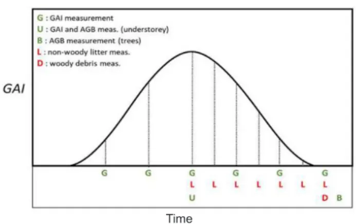 Fig. 10. Default scheme of the temporal sampling for ancillary  vegetation measurements at forest stations