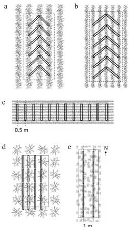 Fig. 3. The position of below-canopy measurements at each loca- loca-tion for different crop arrangements: a and b – row crops, c – row  crops with narrow rows, d – single-spaced large crops and e –  broadcast sown crops