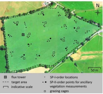 Fig. 5. Spatial sampling scheme. At each measurement date, 60  order points are selected (all black dots), i.e
