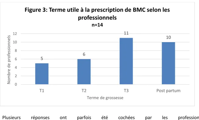 Figure 3: Terme utile à la prescription de BMC selon les  professionnels