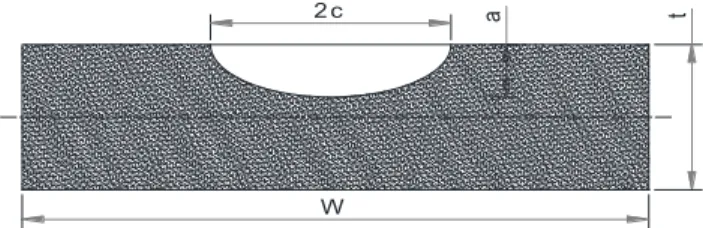FIGURE 1 : ILLUSTRATION OF CRACK DIMENSIONS