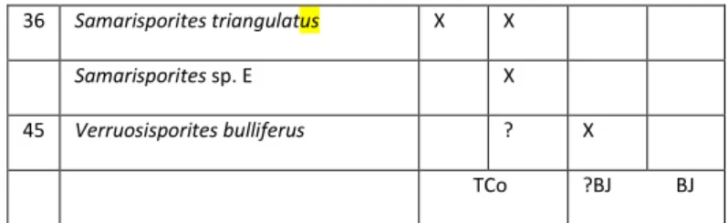 Table 3: miospores recorded in the Heuvelland piezometer (95W175) 