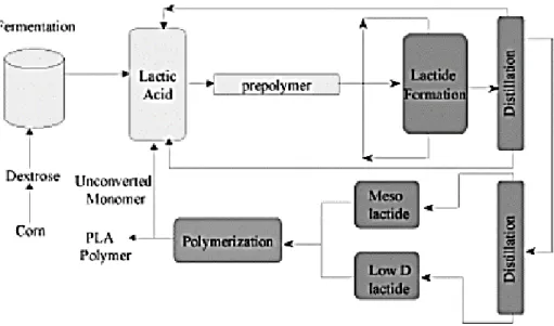 Figure 1.3. Schéma de la production de PLA via le prépolymère et le lactide  (Drumright et al., 2000)