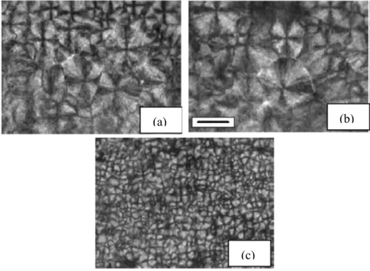 Figure 1.11. Micrographies optiques polarisées d’une pellicule de PET d’une  épaisseur de 100 µm: a) cristallisé par fonte à 1 K/min, b) cristallisé par fonte à 1  K/min, puis recuit à 473 K pour 60 min, c) trempé dans de l’eau glacée, puis recuit à 